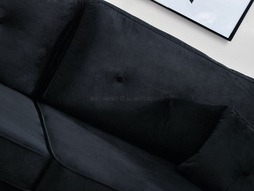 Dvosjed Bacteria (crna)