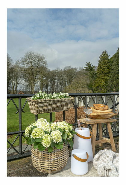 LED lampáš Bminora 1 (biela)