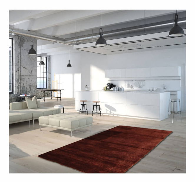 Covor 80x150 cm Lema