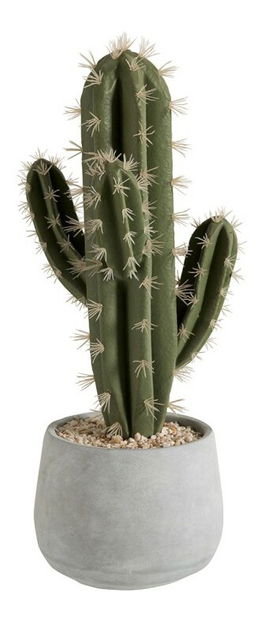 Kvetina Jolipa Črepniková rastlina (20x20x45cm) (Zelená)