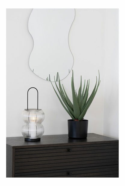 Fenjer Lmitinaora (crna)