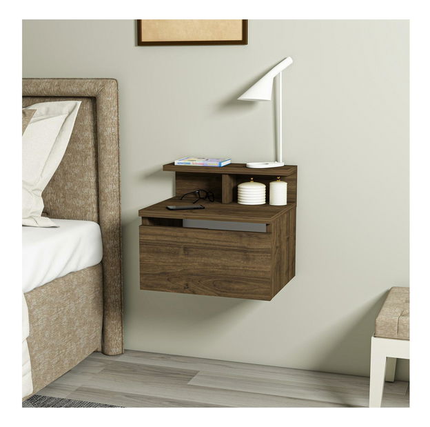 Noptieră Olma (nuc)