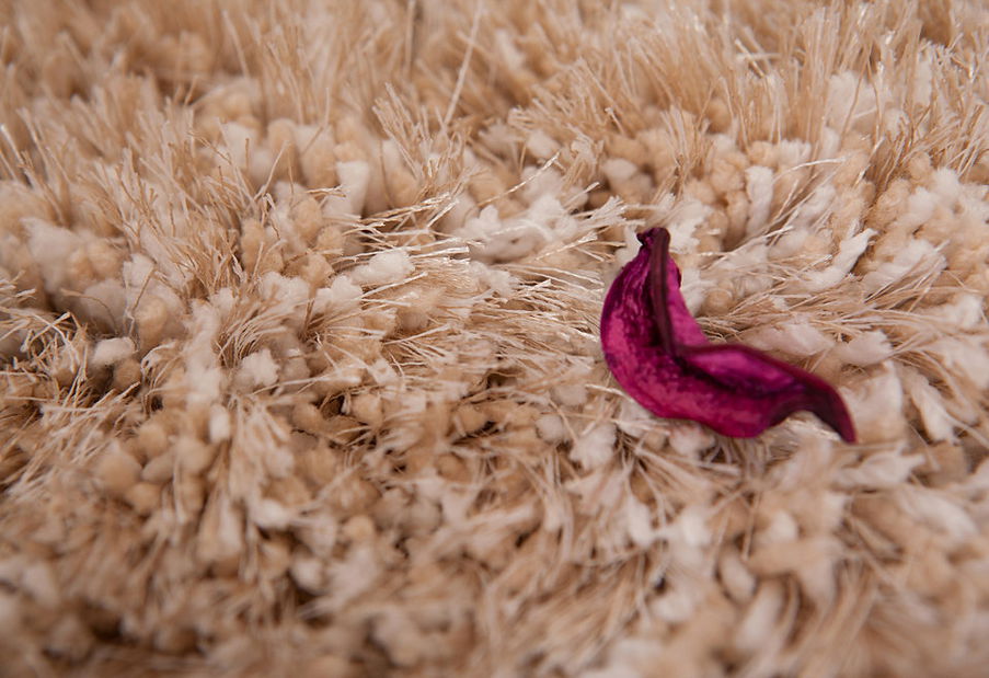 Ručne všívaný koberec Monaco 444 Sand