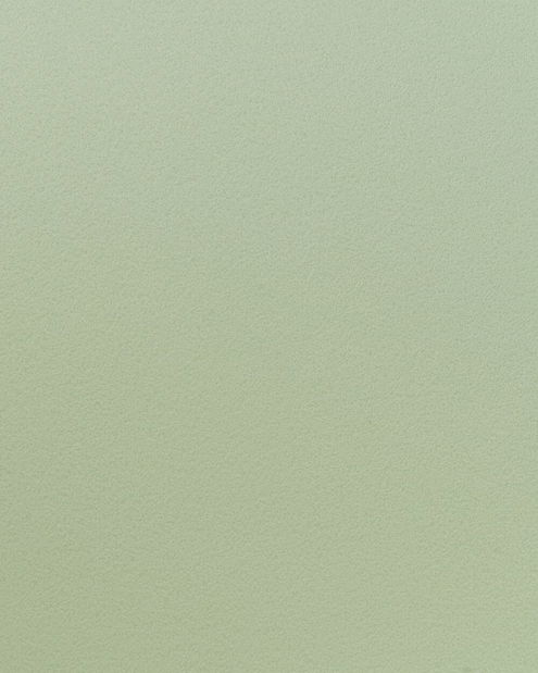 Set 2 buc scaune sufragerie Fonza (verde deschis)