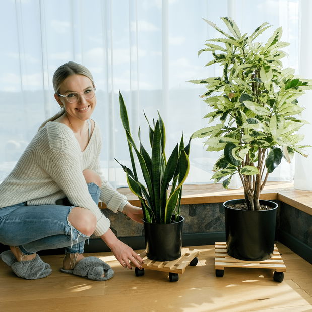 Suport sub ghiveci de flori, cu roți Kola