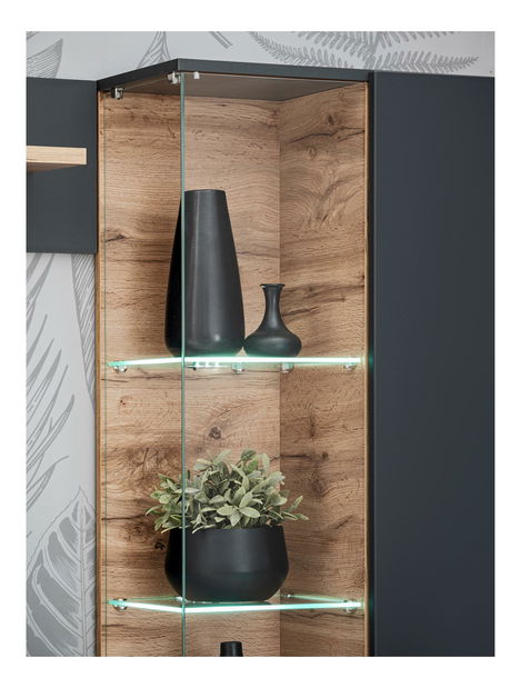 Obývacia stena Siluett (antracit + dub wotan) (s LED osvetlením)