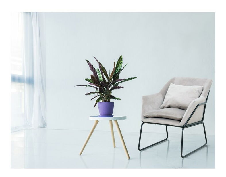 Relaxačné kreslo Kaila (tmavosivá + chróm)