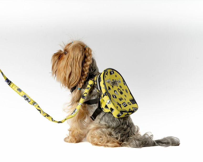 Postroj pre psa Lenny (žltá)