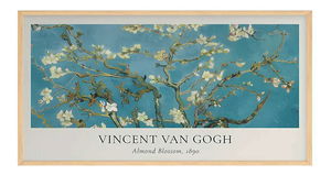 Obraz Arnia 20 (viacfarebné)