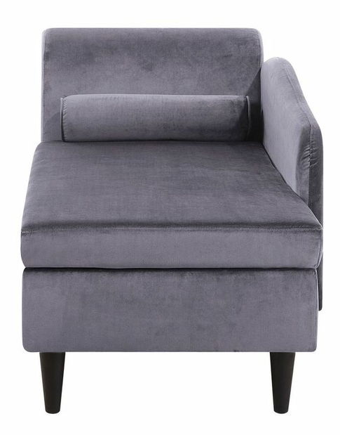 Leňoška Luissiana (tmavosivá) (L)