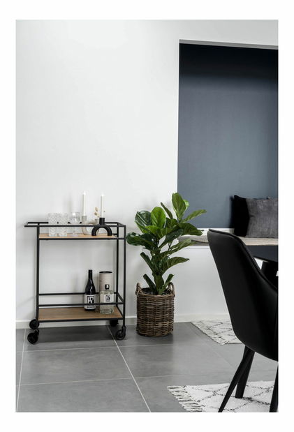 Ručna kolica Vistalia 2 (prirodna)