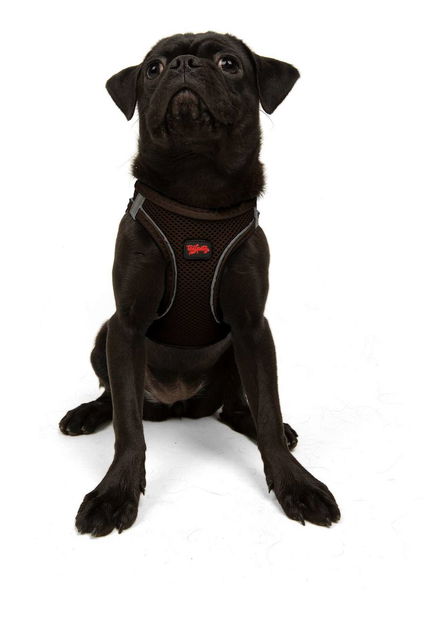 Postroj pre psa Airy (hnedá) (L)