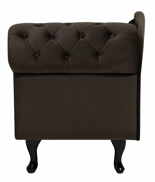 Leňoška Nili (tmavohnedá) (P)