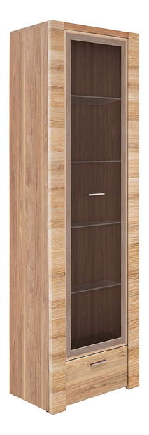 Vitrină Raguel REG1W1S/19/6