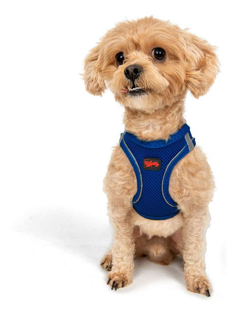 Postroj pre psa Airy (modrá) (S)