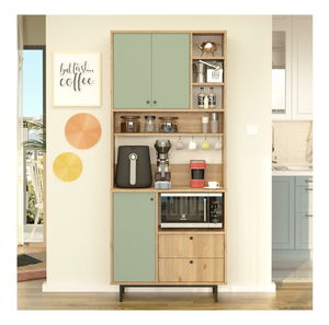 Polcos szekrény Rebutia 6 (tölgy + zöld)