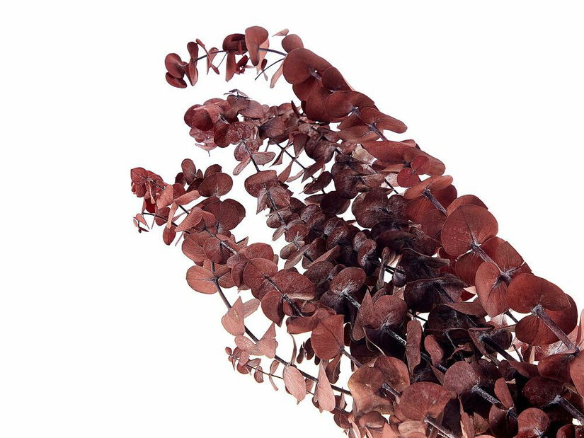 Buket suhog cvijeća Brynjar (crvena)