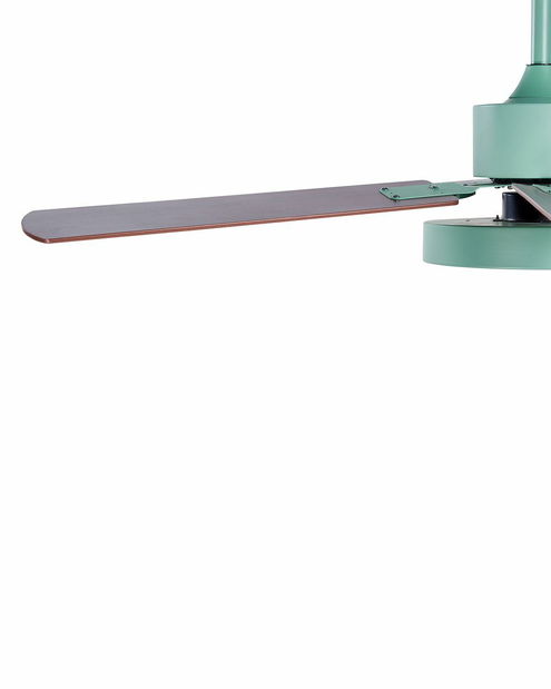 Ventilator de tavan cu iluminat Helix (verde)