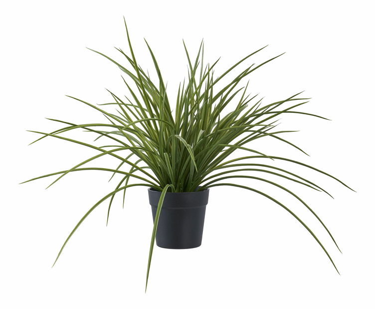 Tráva Geamona 1 (zelená)