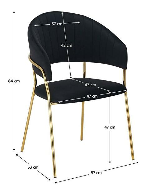 Dizajnerska fotelja Morkenus (bež + crna) 