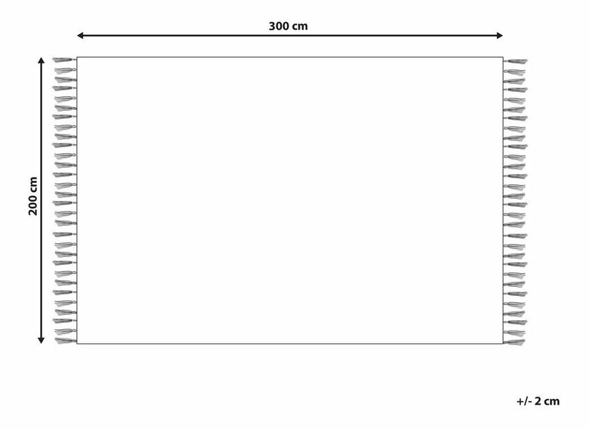 Szőnyeg 200 x 300 cm Kanar (többszínű)
