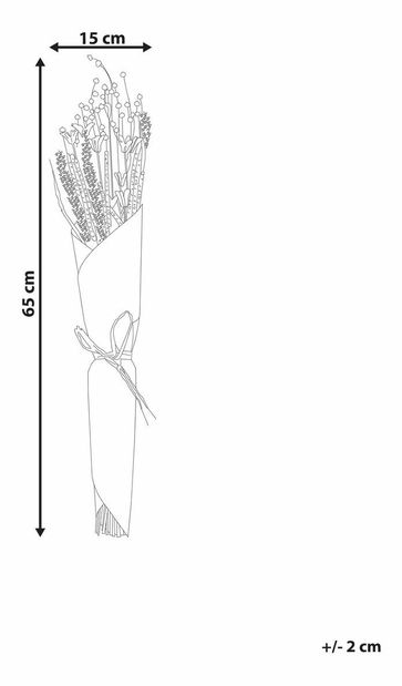 Buchet de flori uscate Pamza (roșu)