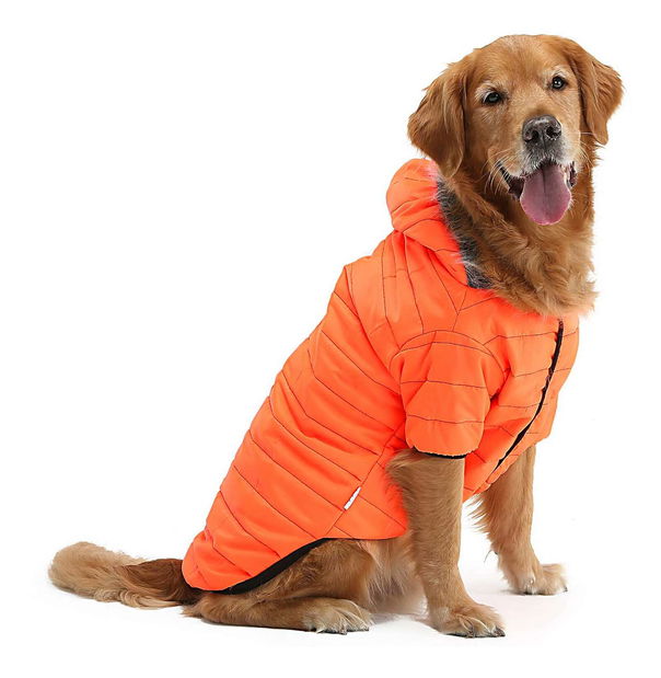 Bunda pre psa Oraga (oranžová) (7XL)