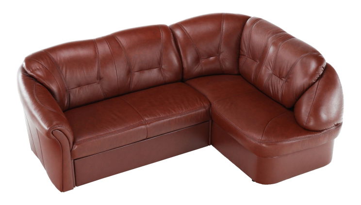 Kožená rohová sedačka Lamerton (P)