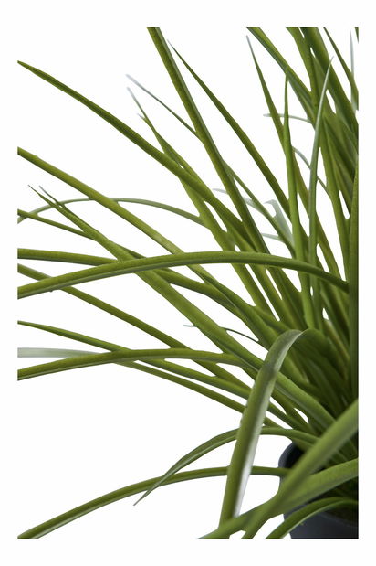 Tráva Geamona 1 (zelená)