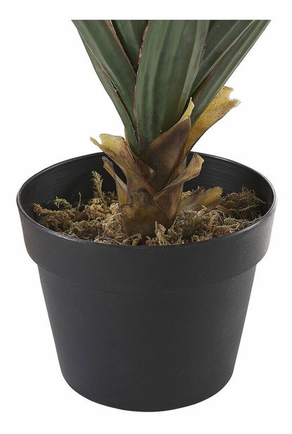 Umelá rastlina 52 cm ALOVA