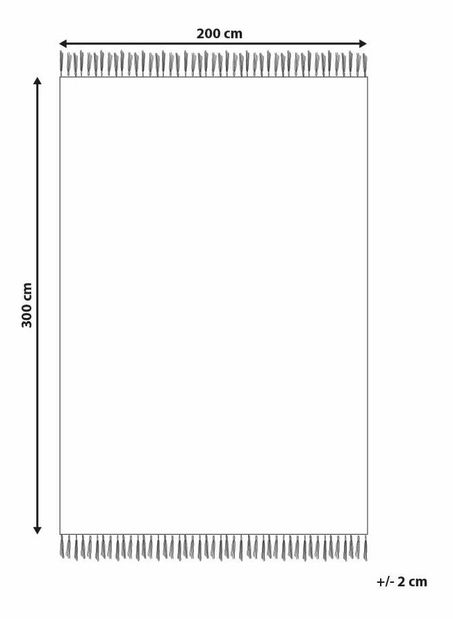Szőnyeg 200 x 300 cm Vaky (bézs)