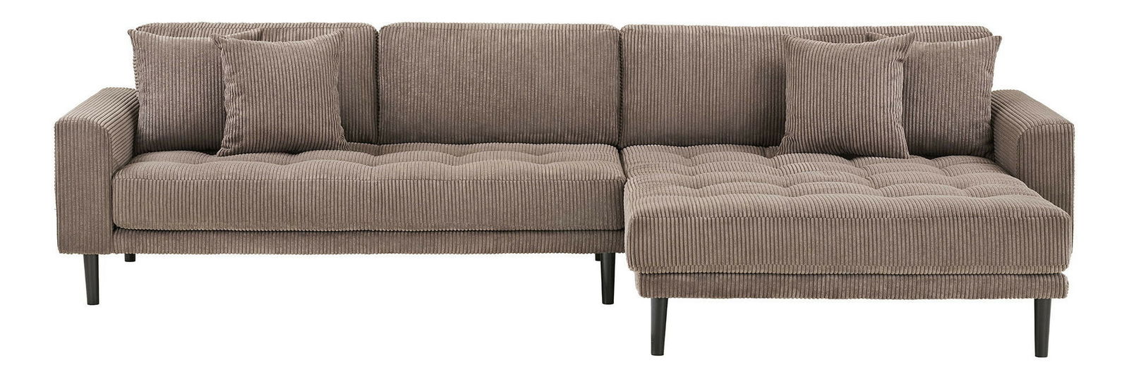 Colțar (D) Lvaveriaora (maro)