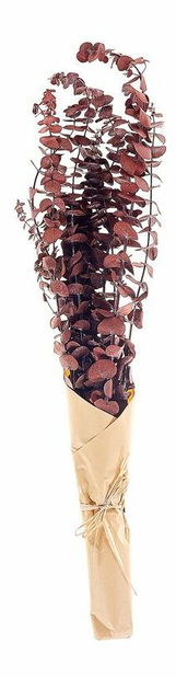 Kytica sušených kvetov Brynjar (červená)