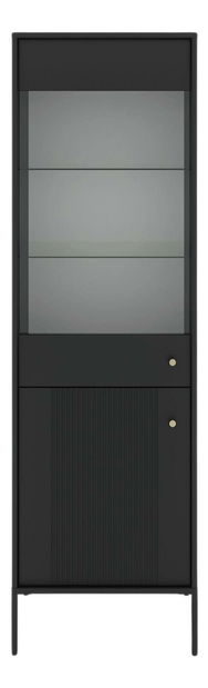 Vitrina Saliesen (crna) 