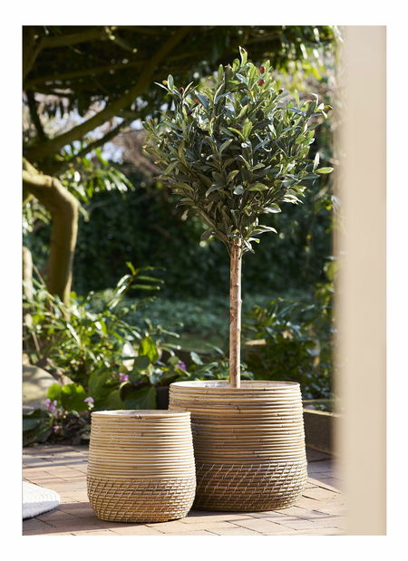 Set 2 ks prútených kvetináčov Mlaravia (prírodná)