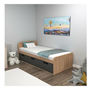 Jednolôžková posteľ 90 cm Pelavi 1 (borovica atlantická + antracit) (s roštom)