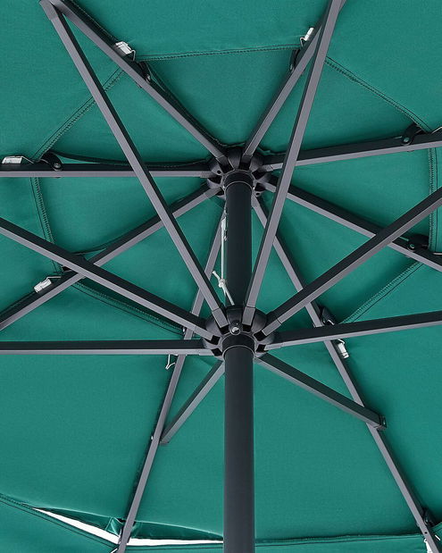 Slnečník Biancia (zelená)