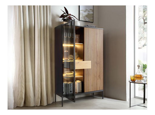 Vitrína Dernas WTSZ14 (grafit + dub wotan)