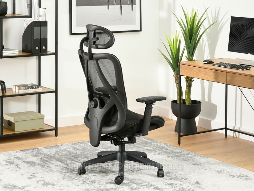 Irodai fotel Derenis (fekete)