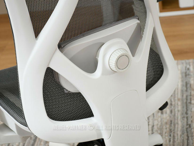 Fotoliu de birou Derenis (gri + alb)