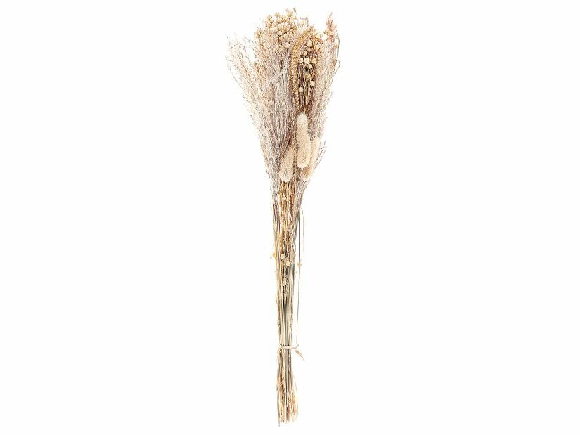 Buchet flori uscate Coco (natural)