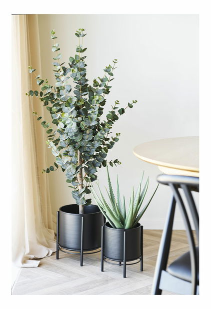 Set 2 ks kvetináčov Florezia 5 (čierna)