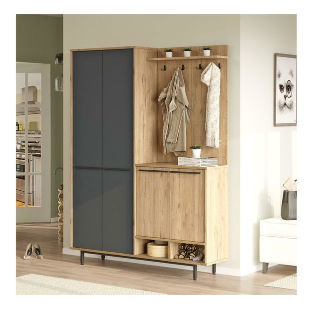 Előszoba fal Opuntia 1 (tölgy + antracit) 