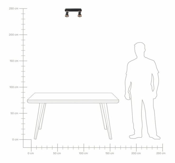 Stropné svietidlo Braulio (čierna + medená)