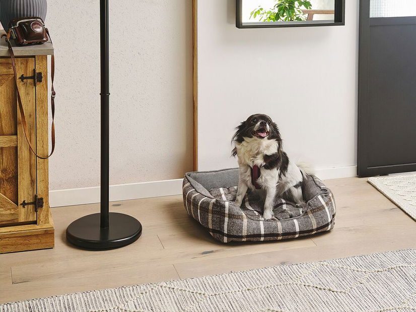 Pelech Hozza (hnedá)