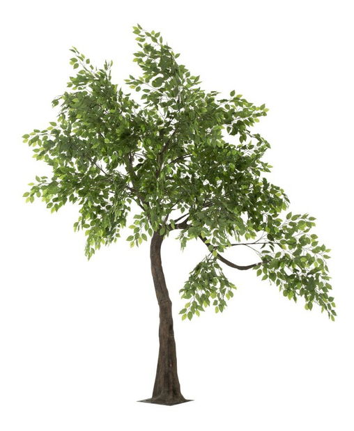 Kvetina Jolipa Strom (320x190x310cm) (Zelená)