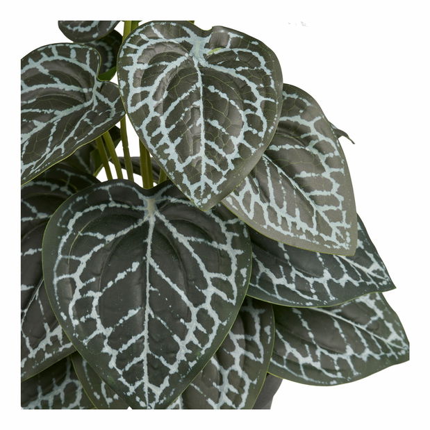 Umelá rastlina Anavania 2 (zelená)