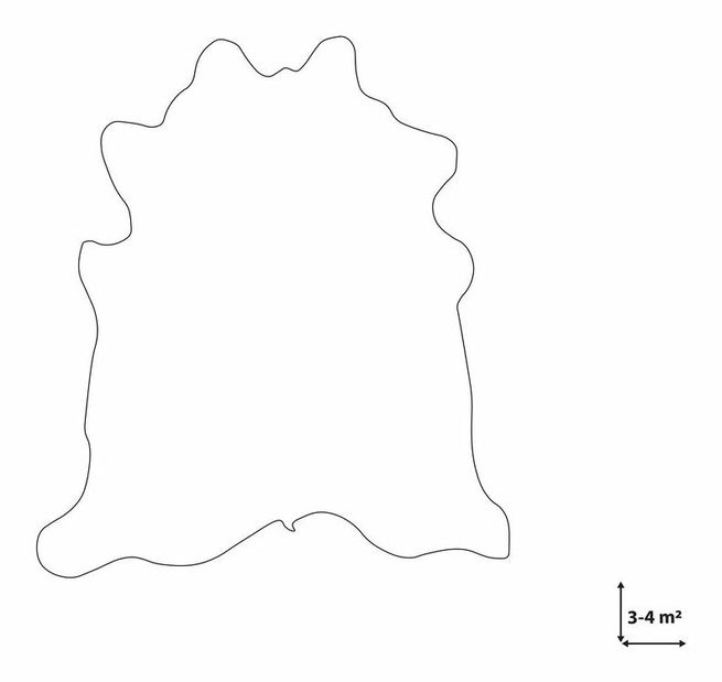 Covor din piele de vită 2-3 m² Nasku (maro auriu)