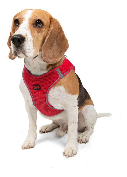 Postroj pre psa Airy (granátová červeň) (3XS)