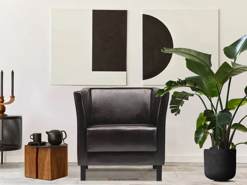 Kreslo Elidin (čierna)